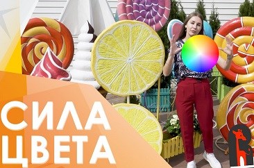 Цветовое оформление кафе и ресторана ✅ Сила цвета