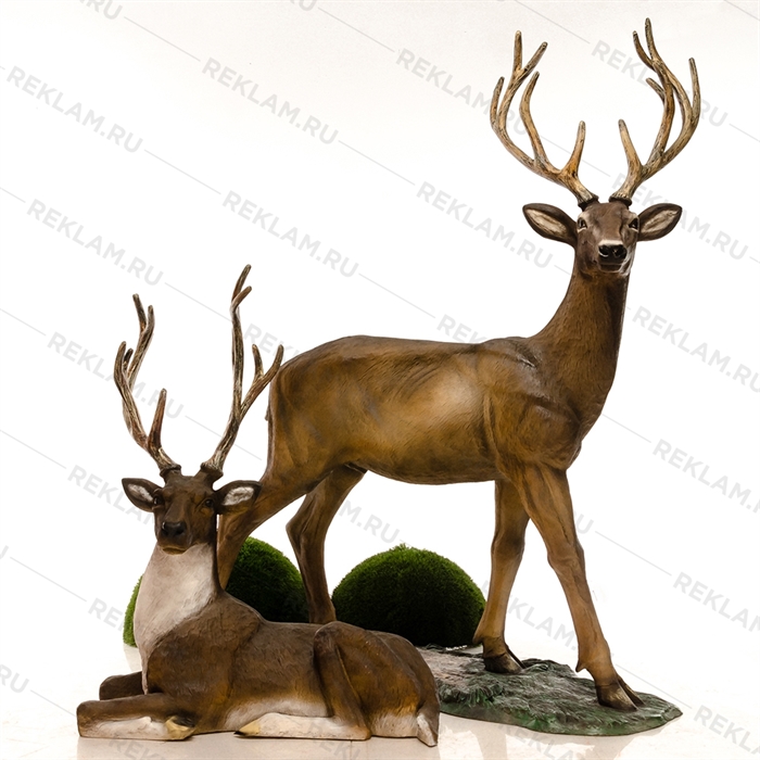 олень благородный