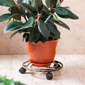 {{photo.Alt || photo.Description || 'Подставка под цветы на колесиках 12-003 d=30 см'}}