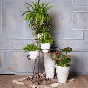 {{photo.Alt || photo.Description || 'Подставка для цветов 19-204'}}