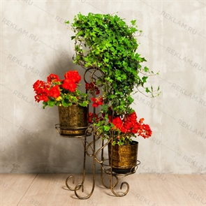 {{photo.Alt || photo.Description || 'Подставка напольная для 3 цветков'}}