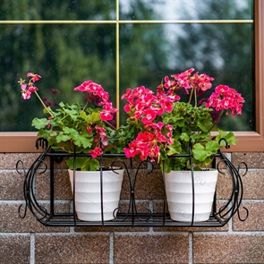 {{photo.Alt || photo.Description || 'Кронштейн для цветов 51-285'}}