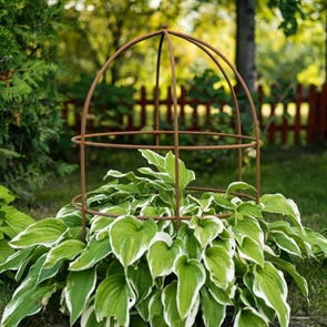 {{photo.Alt || photo.Description || 'Опора для растений металлическая круглая 57-909 высота 83 см'}}