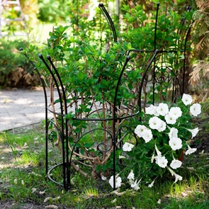 {{photo.Alt || photo.Description || 'Опора для растений полукруглая 57-926 h=69 см'}}