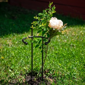 {{photo.Alt || photo.Description || 'Опора для роз 57-927 металлическая высота 50 см'}}