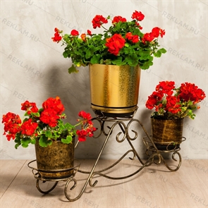 {{photo.Alt || photo.Description || 'Подставка для цветов 11-013'}}
