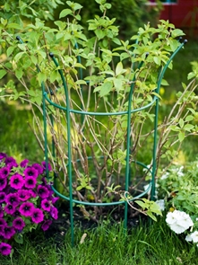 {{photo.Alt || photo.Description || 'Опора полукруглая для растений металлическая 58-920Gr h= 88см'}}