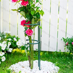 {{photo.Alt || photo.Description || 'Опора для растений 58-928Gr металл h=74 см'}}