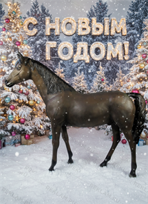 {{photo.Alt || photo.Description || 'Лошадь гнедая Ростовая фигура  230 x 190 см.'}}