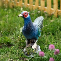 фигуры для ландшафтного дизайна фигуры для ландшафтного дизайна