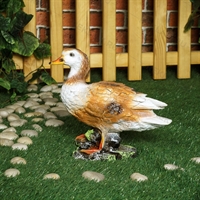 фигуры для ландшафтного дизайна