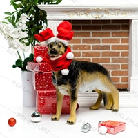 новогоднее оформление витрин