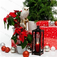 новогоднее оформление витрин