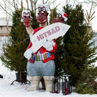 ростовые оригинальные фигуры