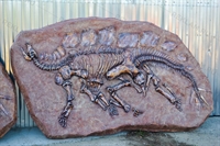 детская игра раскопки детская игра раскопки