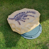 камень со скелетом динозавра