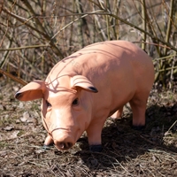 рекламная фигура свинка