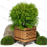 деревянная кадка с оковкой деревянная кадка с оковкой