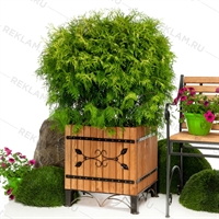 кадка с оковкой кадка с оковкой