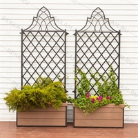 шпалера для винограда