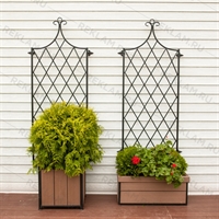 настенная шпалера для вьюнов