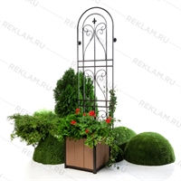 настенная решетка для вьюнов