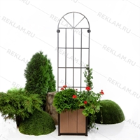 настенная решетка для вьюнов