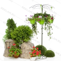 вертикальное озеленение купить