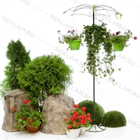 вертикальное озеленение москва