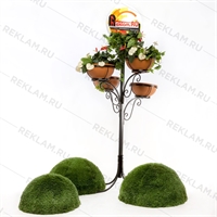 вертикальное озеленение купить