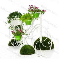 вертикальное озеленение