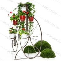 вертикальное озеленение купить