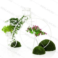 уличное вертикальное озеленение