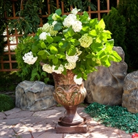 цветочный вазон