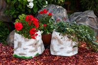 цветочное кашпо купить