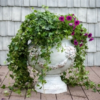 цветочный вазон из стеклопластика