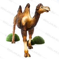 рекламная фигура верблюда