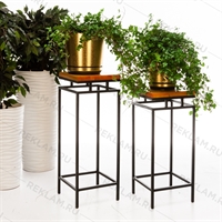 цветочницы фото