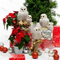 оформление витрин