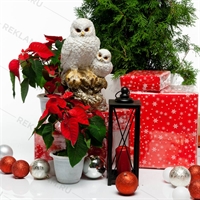 фигура сова купить