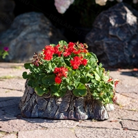 садовое кашпо для цветов купить