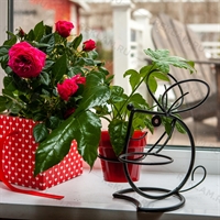 Цветочница Мышка - фото 18246