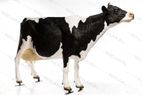 Рекламная фигура Корова