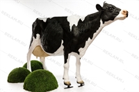 для рекламы магазина