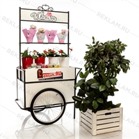 торговая витрина