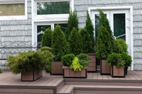 кадки для цветов