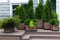 ящики для цветов