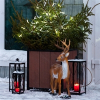 ландшафтный дизайн