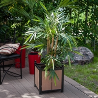 малая кадка