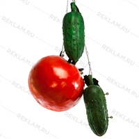 муляжи больших овощей